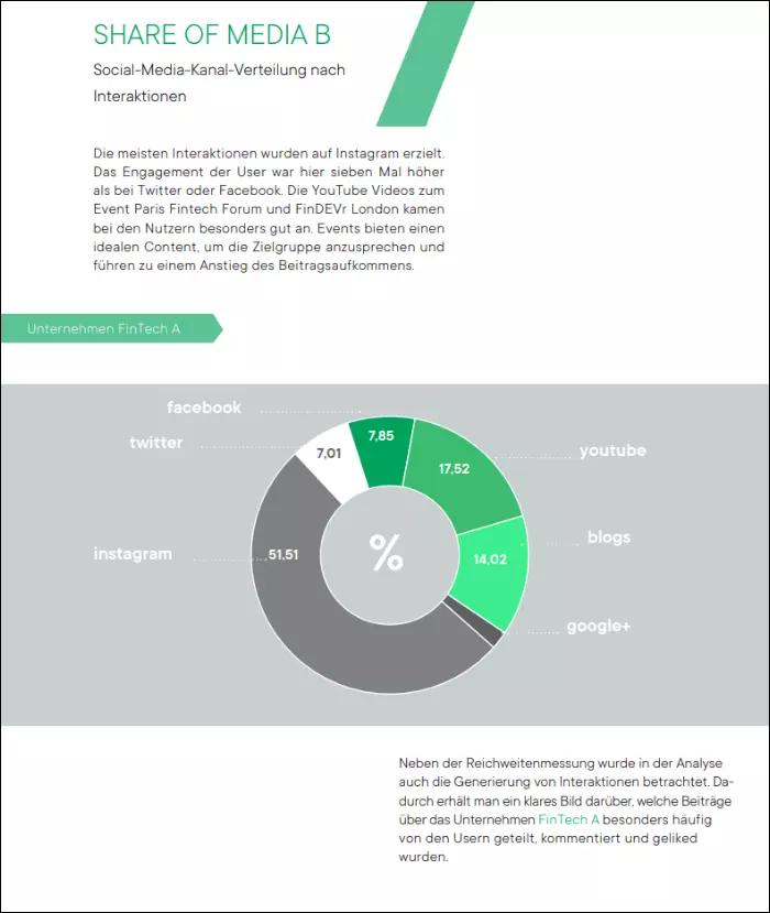 Auszug: Social Media Audit