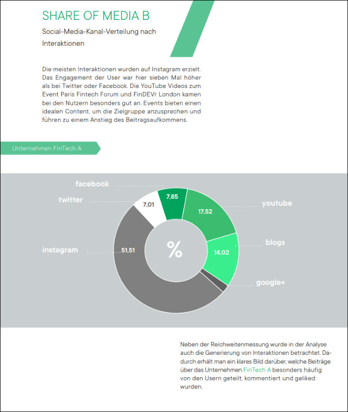 Auszug: Social Media Audit